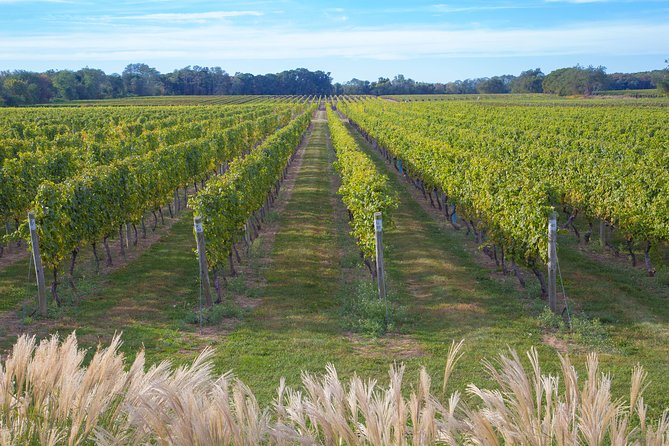 The Hamptons and Long Island Wineries Private Tour - Pickup and Transportation Details