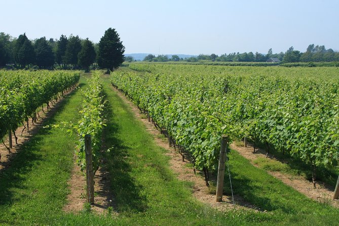 The Hamptons and Long Island Wineries Private Tour - Tailored Itinerary Options