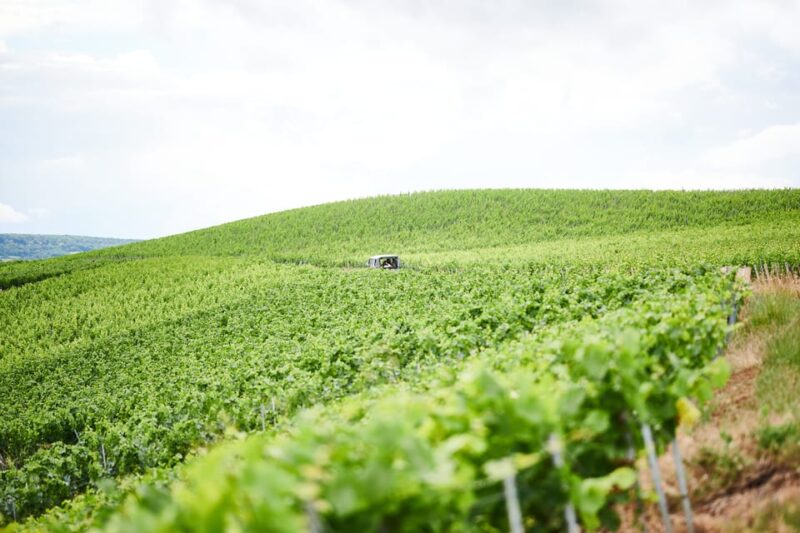 The Heart of the Champagne Region - Activity Details