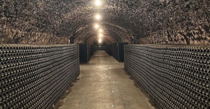 The Heart of the Champagne Region - Exploring the Vineyards