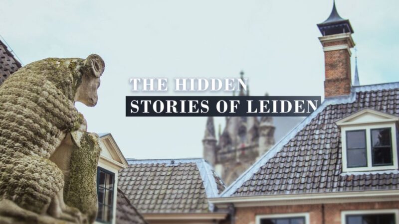 The Hidden Stories of Leiden - Self-Guided Audio Tour - Accessibility and Limitations
