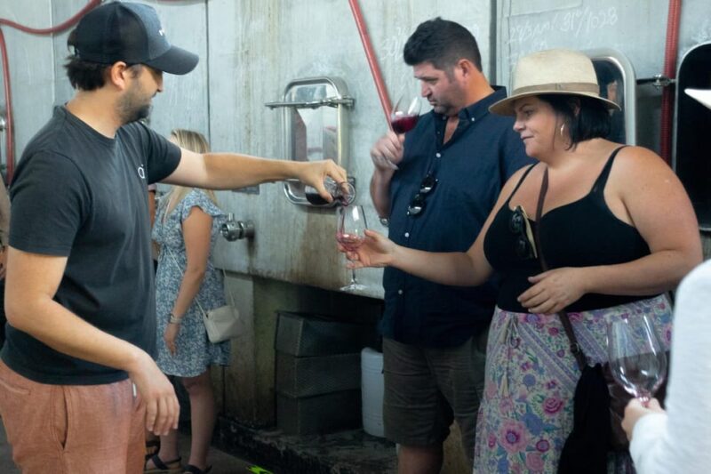 The Hidden Wineries of Maipo - Key Points