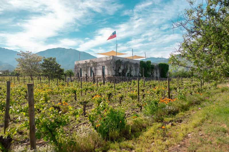 The Hidden Wineries of Maipo - Pickup and Transportation