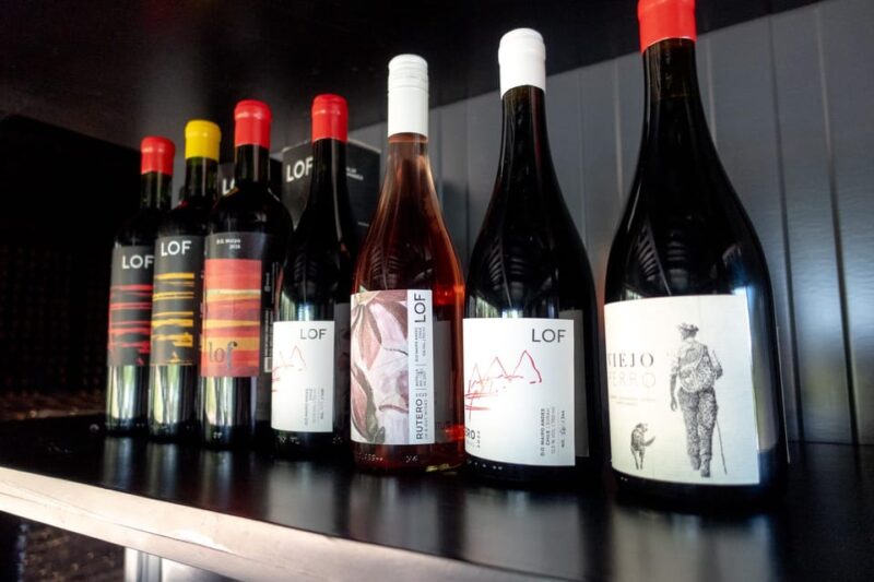 The Hidden Wineries of Maipo - Winemaking Philosophies