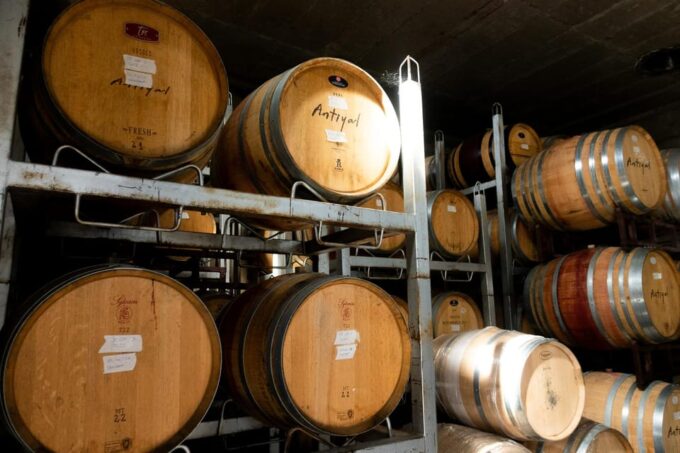 The Hidden Wineries of Maipo - Local Cuisine and Drinks