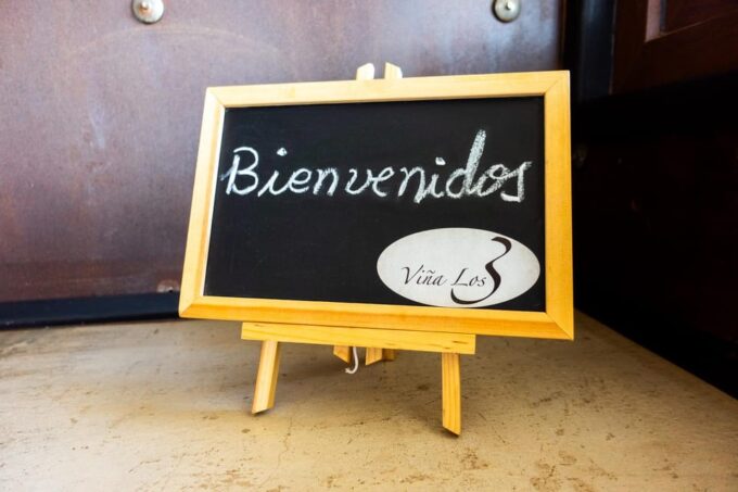 The Hidden Wineries of Maipo - Tour Guide Expertise