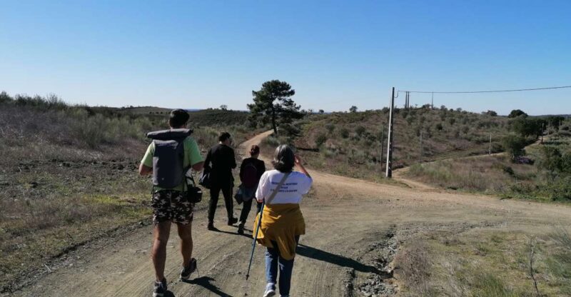 The Hike Through the Alentejo Cork - Experience Highlights