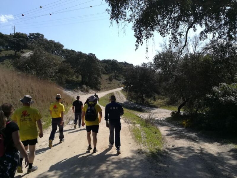 The Hike Through the Alentejo Cork - What to Bring