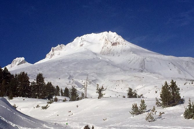 The Hood-Columbia Loop: Timberline, Orchards, and Waterfalls - Inclusions