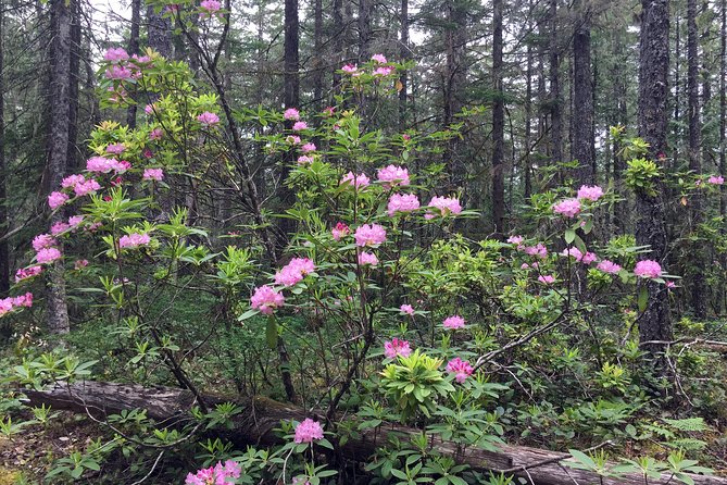 The Hood-Columbia Loop: Timberline, Orchards, and Waterfalls - Booking and Confirmation