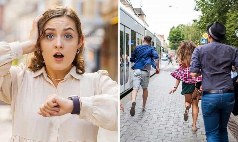 The Hunt, an Exciting Cat-And-Mouse Adventure in Aabenraa - Booking Details