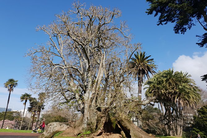 The Hunt for the Missing Monarch - An Auckland Adventure - Location and Meeting Point