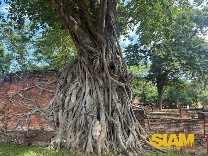 The Incredible Ayutthaya Ancient Temple Tour : From Bangkok - Visiting Wat Phra Sri Sanphet