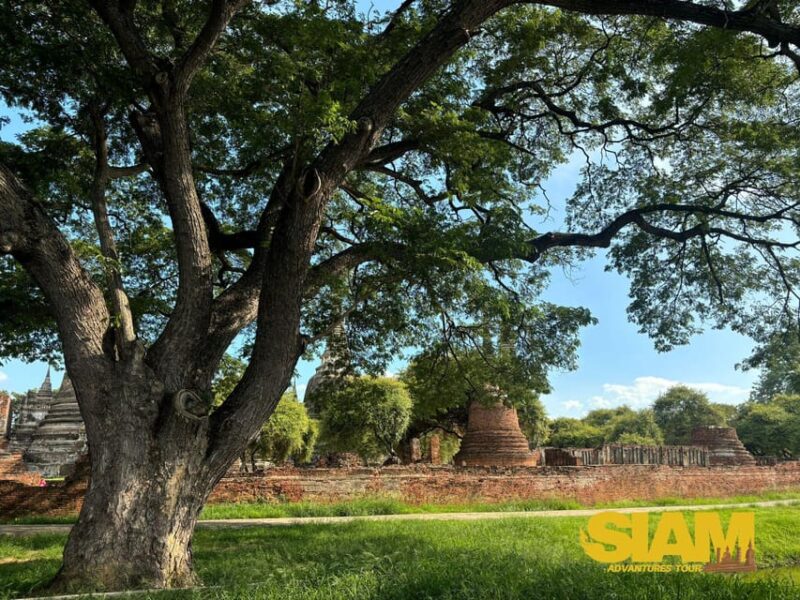 The Incredible Ayutthaya Ancient Temple Tour : From Bangkok - Included Amenities and Services