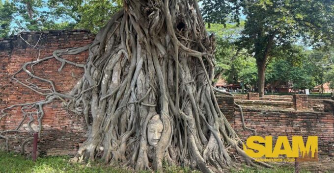 The Incredible Ayutthaya Ancient Temple Tour : From Bangkok - Additional Considerations