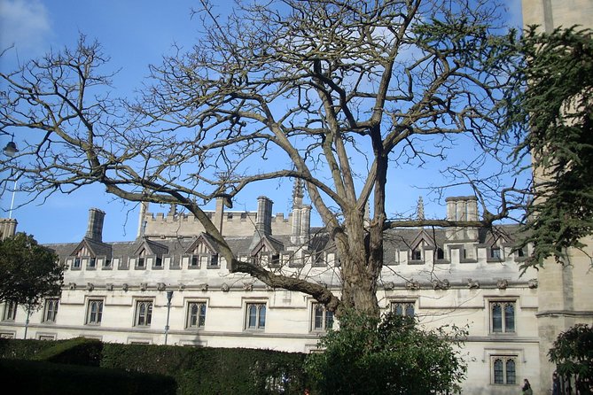 The Inklings Oxford Writers Tour - Private Groups Daily - Reviews