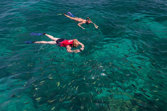 The Inviting Beauty of Phi Phi Islands - Essential Preparation and Considerations