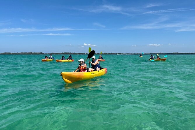 The Island Tour - Exploring the Mangroves