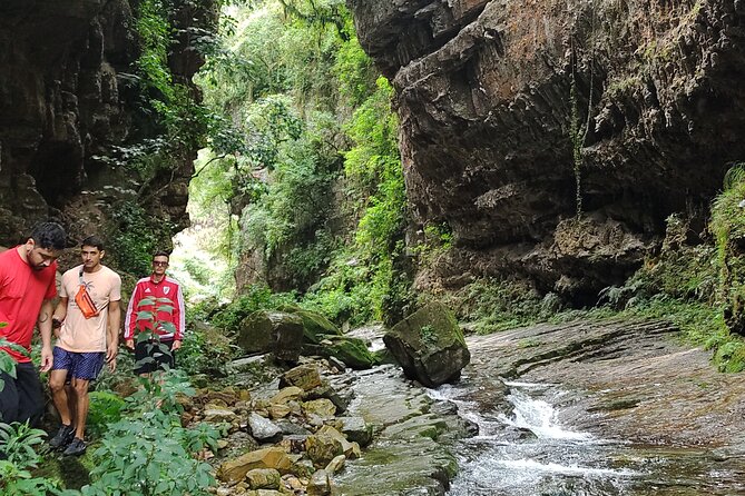The Jaguar Fountain / Immerse Yourself in the Jungle of Jujuy - Taking in the Jungle