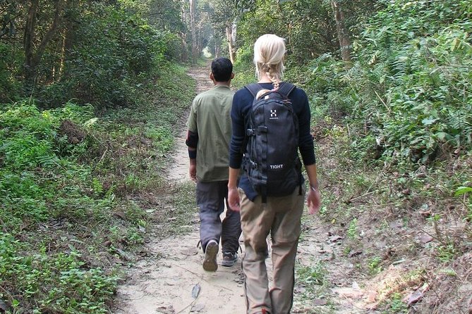 The Jungle Adventure - Accessibility and Participation