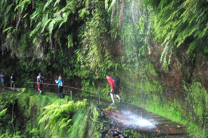 The Kings Levada - Levada Do Rei - About Your Stay