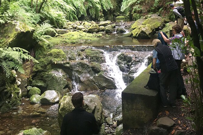 The Kings Levada - Levada Do Rei - Exploring the Scenic Trail