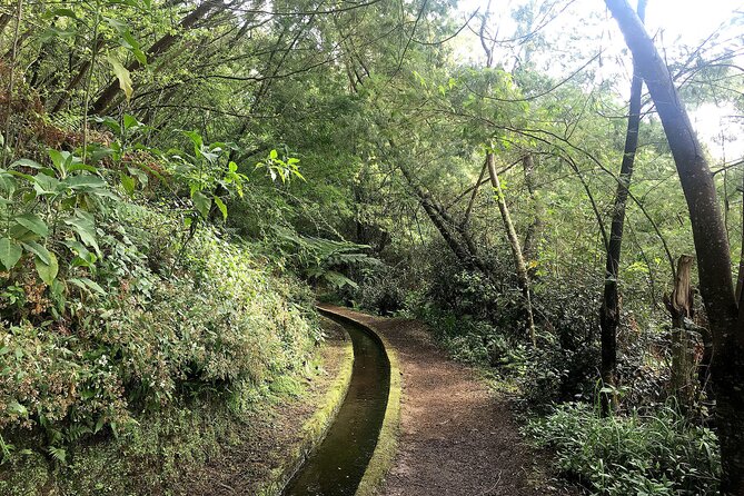 The Kings Levada - Levada Do Rei - Meeting and Pickup Arrangements