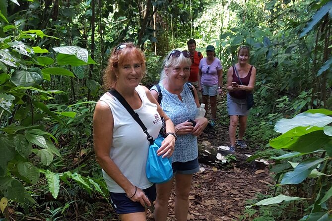 The Kittitian Rainforest Adventure (with Snacks) - Included Experiences
