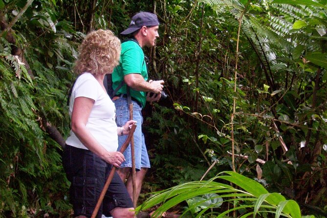 The Kittitian Rainforest Adventure (with Snacks) - Preparing for the Adventure