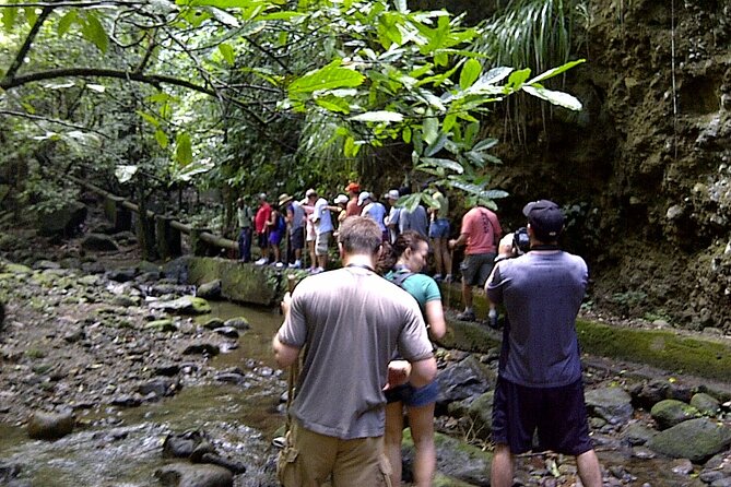 The Kittitian Rainforest Adventure (with Snacks) - Questions About Your Stay