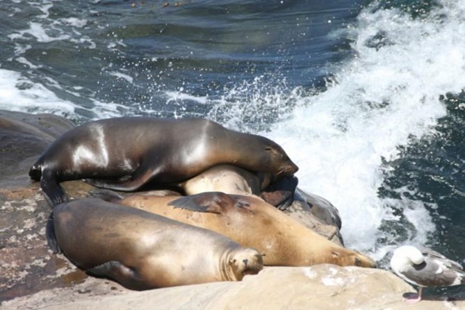 The La Jolla Tour - Luxury Boutiques in La Jolla
