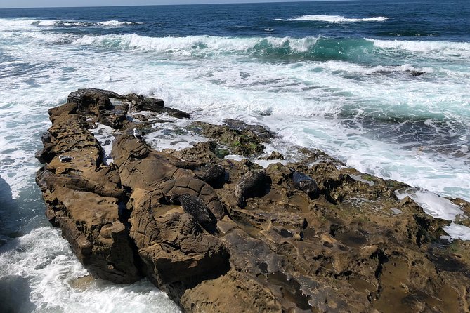 The La Jolla Tour - Tour Inclusions and Meeting Details