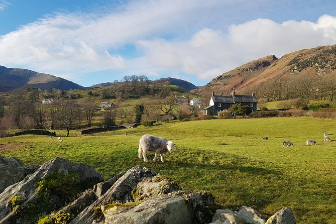 The Lake District From Manchester Including Lake Cruise & Train - Customer Reviews and Feedback