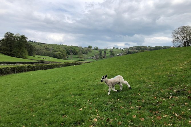 The Lake District Tour From Liverpool Including Lake Cruise - Coniston Water and Swallows Amazons