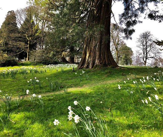 The Lake District Tour From Liverpool Including Lake Cruise - Tour Inclusions and Meeting Point