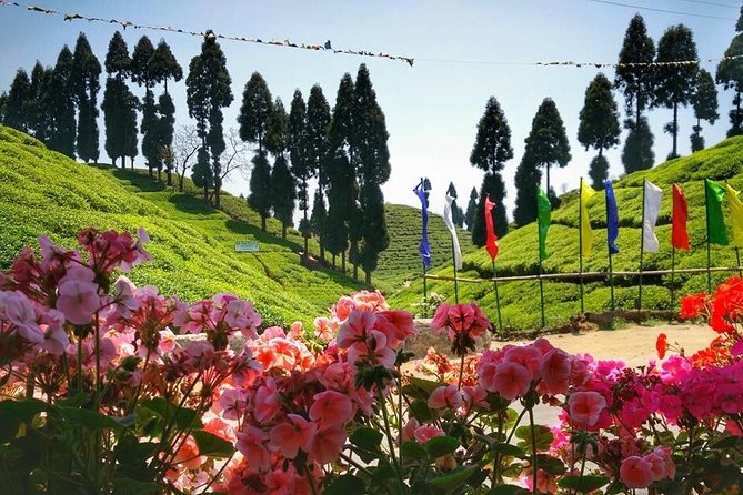 The Land Mark Tour (Nautical Day Darjeeling to Mirik Crusade) - Captivating Mirik Lake and Attractions