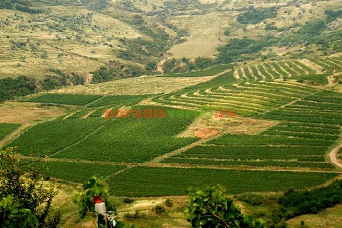 The Largest Salt Mine , Winery and Dracula Grave- Private Tour - Tour Logistics
