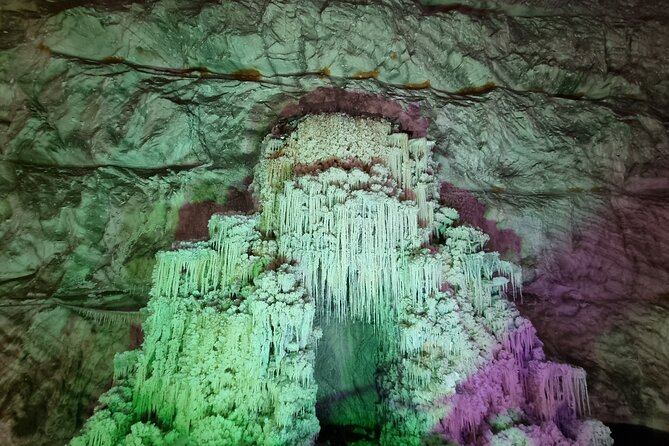 The Largest Salt Mine , Winery and Dracula Grave- Private Tour - Customer Experience
