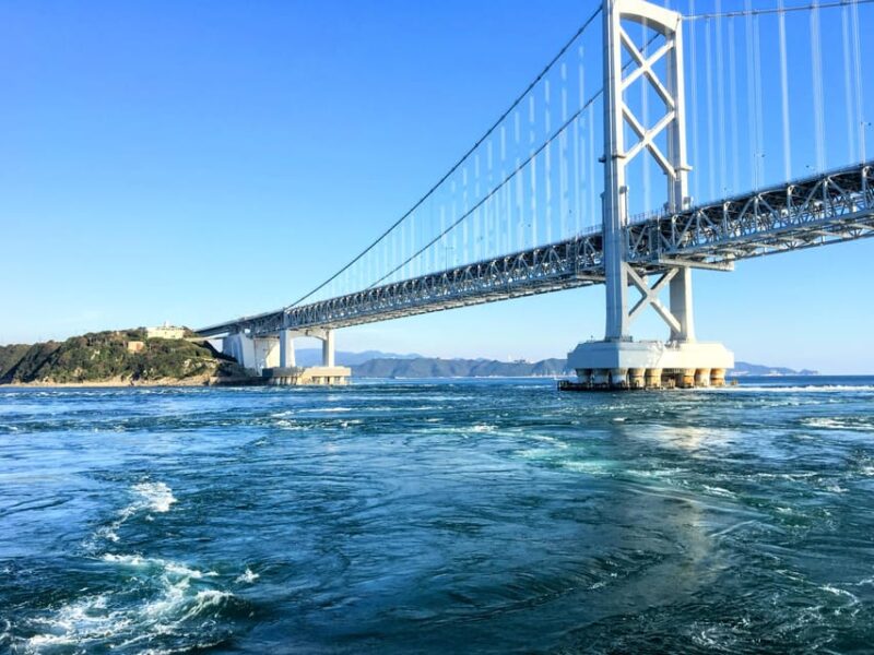 The Largest Whirlpools Cruise & Japanese Bento Lunch - Authentic Japanese Bento Lunch Experience