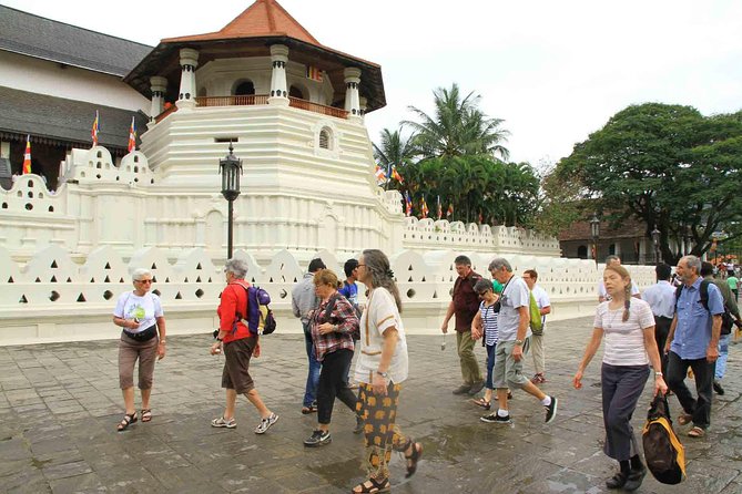 The Last Kingdom Private Day Tour in Kandy - Highlights of the Tour