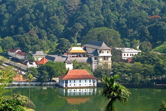 The Last Kingdom Private Day Tour in Kandy - Spice Garden Experience