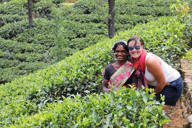 The Last Kingdom Private Day Tour in Kandy - Kandy City Exploration