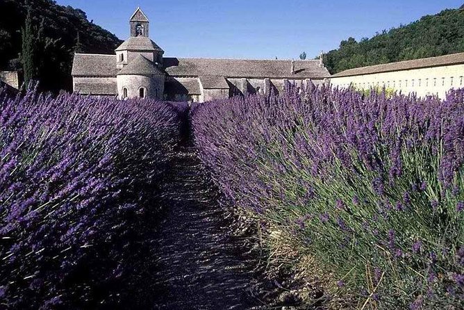 The Lavender Country - Private Tour With a Local Guide - Comfortable and Convenient Transportation