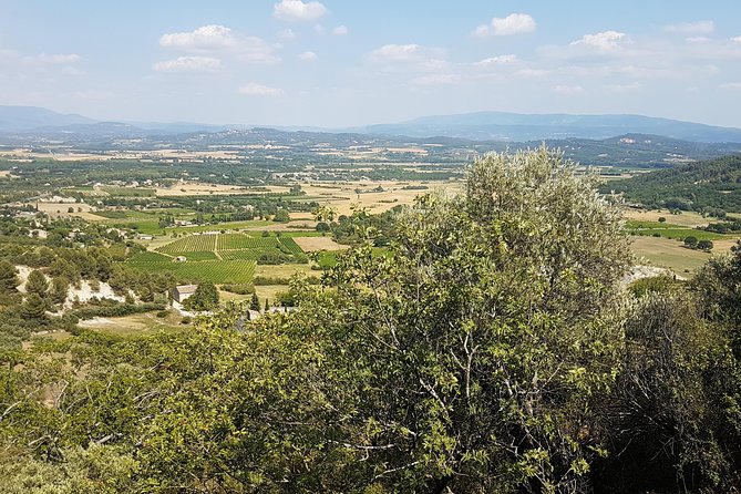 The Lavender Country - Private Tour With a Local Guide - Savoring the Local Cuisine