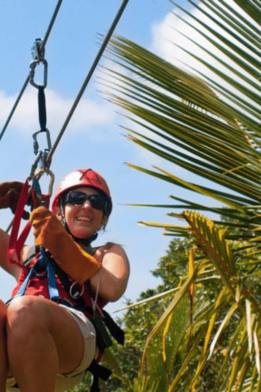 The Lemon: Ziplining Adventure - Language and Accessibility
