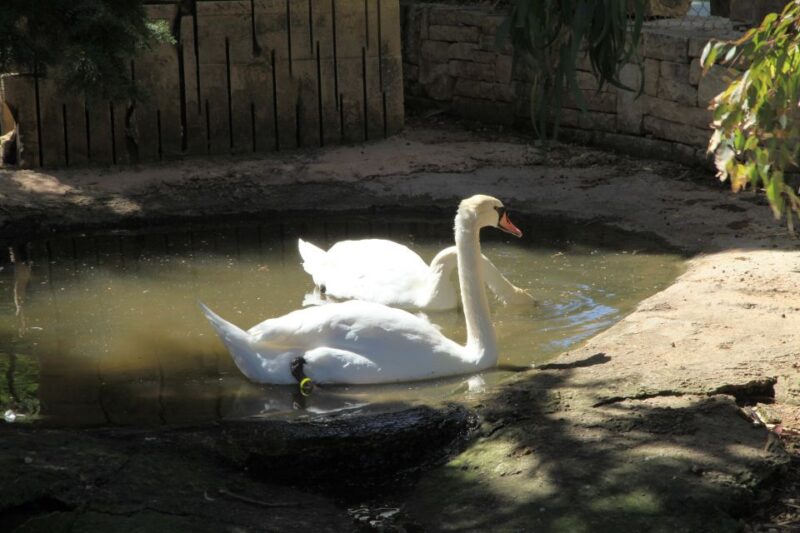 The Limestone Heritage Park and Gardens (Entry Ticket) - Attractions and Activities
