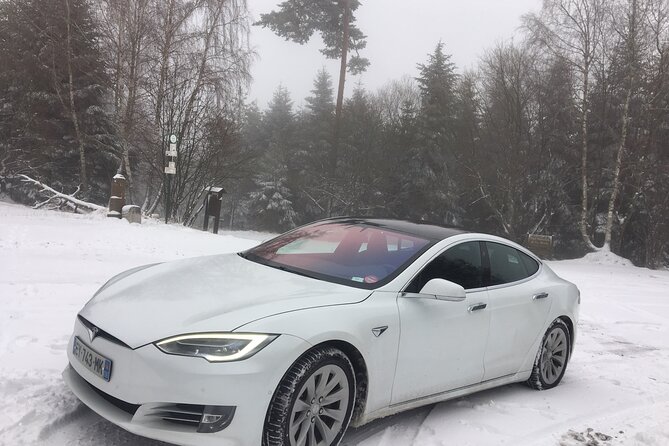 The Little Alsatian Tour With a Local Private Friendly Driver and a Tesla - Inclusions and Amenities