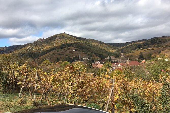 The Little Alsatian Tour With a Local Private Friendly Driver and a Tesla - Discovering Local Wineries