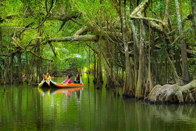The Little Amazon and Sri Phang Nga Waterfall Full Day Tour From Khao Lak - Good To Know