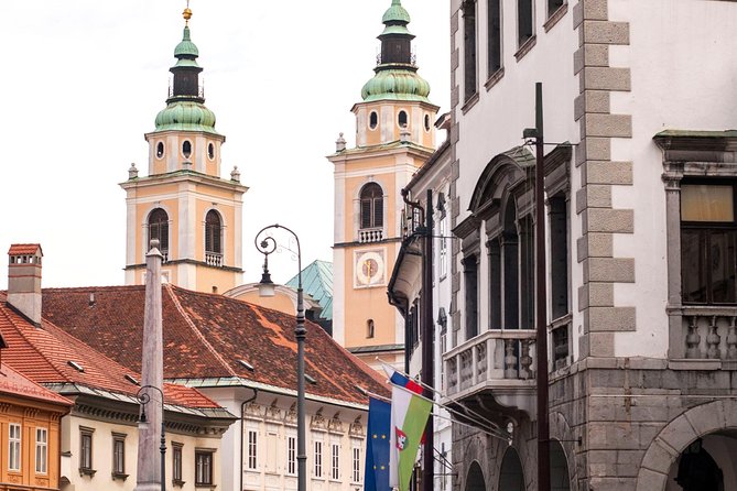 The Ljubljanas Cathedral Tour (St. Nicolas Church) - Accessibility and Participation